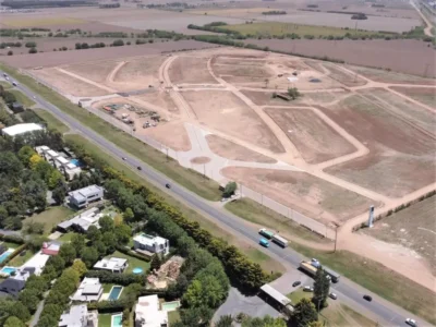 Comunidad Evolutiva 100